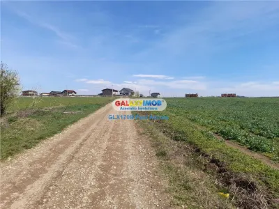 Teren Lac Balotesti 5000 mp intravilan utilitati str Lacului. - foto 4