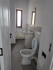 Inchiriere SAD Timisoara Calea Sagului - foto 9