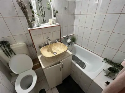 Vanzare apartament 2 camere Timisoara Calea Sagului - foto 9