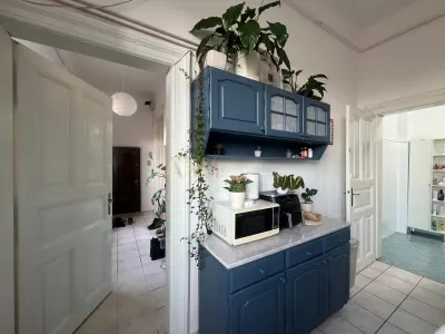 Vanzare apartament 4 camere Timisoara Piata Balcescu - foto 19