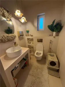 Casa deosebita cu 3 camere 7,5 ari - foto 4