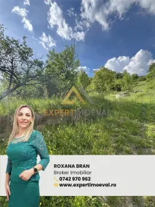 Teren intravilan Baia Sprie 815 mp - Baia Sprie