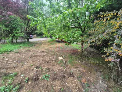 Teren intravilan, cu PUG si autorizatie de constructie. Strada Magnoliei, Floresti - Floresti