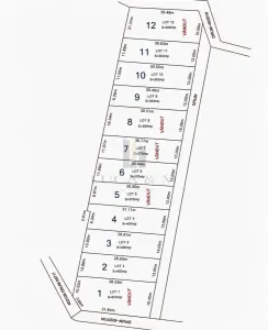 Terenuri zona Case de Vacanta  Lacul Surduc timis - foto 3