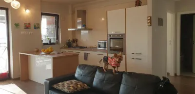 Inchiriere apartament  2 camere Ploiesti, zona Albert - foto 9