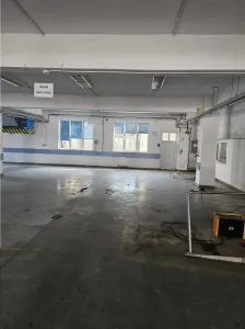 Exclusivitate - Proprietate Industriala De Vanzare - Productie - Depozitare - foto 14