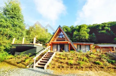 Cabana A-frame ,, Padurea Cerbilor - foto 3