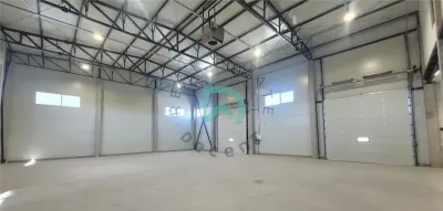 Hala industriala 300 mp Parc Industrial Prejmer,  Brasov - foto 4