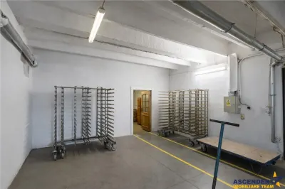 Parc industrial modernizat, acces bilateral, potential remarcabil, Sfantu Gheorghe - foto 12