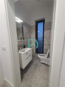 Casa de inchiriat,  Carpinis - foto 6