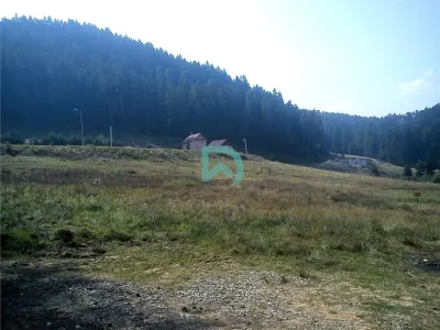 Teren Poiana Angelescu, Sacele, Brasov - foto 11