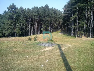 Teren Poiana Angelescu, Sacele, Brasov - foto 4