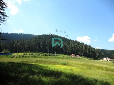 Teren Poiana Angelescu, Sacele, Brasov - foto 8