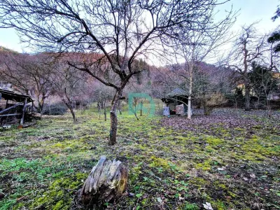 Casa de vanzare  Brasov - foto 8