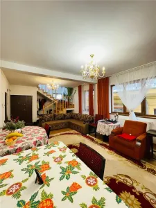 VANZARE CASA VILA 4 camere CALEA GRIVITEI  NICOLAE TITULESCU SECTOR 1 - foto 5