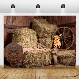 Film&Tur! Domeniu pe 222.000mp+ Ferma +Anexe specifice+Constructie+rezidentiala+Transfer business - foto 6