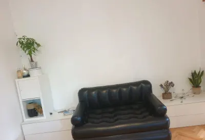 Apartament luminos cu 2 camere in zona Dna Ghica - foto 4
