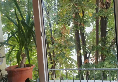Apartament luminos cu 2 camere in zona Dna Ghica - foto 8