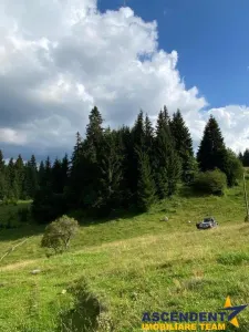 8.000 mp teren, Bran, Fundata, Brasov - foto 11