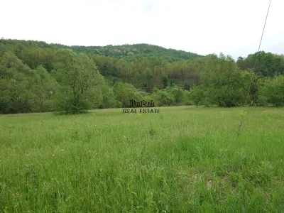 1.3 haTeren si  Casa Luncoiu de Jos - foto 2