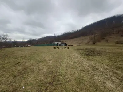 1.3 haTeren si  Casa Luncoiu de Jos - foto 5