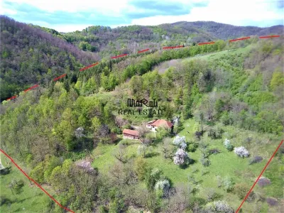 Domeniu de 7 ha in Apuseni - Criscior, Hunedoara - Criscior