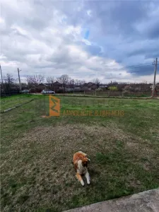 Casa tip parter zona Sapoca - foto 19