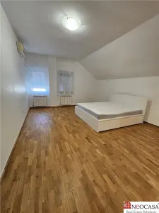 IANCU NICOLAE, S+P+1, 6 CAMERE, 410 MP, PISCINA, CURTE SUPERBA! - foto 13