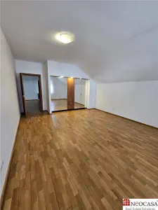IANCU NICOLAE, S+P+1, 6 CAMERE, 410 MP, PISCINA, CURTE SUPERBA! - foto 14