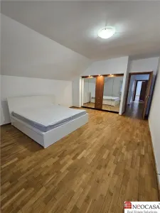 IANCU NICOLAE, S+P+1, 6 CAMERE, 410 MP, PISCINA, CURTE SUPERBA! - foto 19