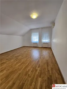 IANCU NICOLAE, S+P+1, 6 CAMERE, 410 MP, PISCINA, CURTE SUPERBA! - foto 20