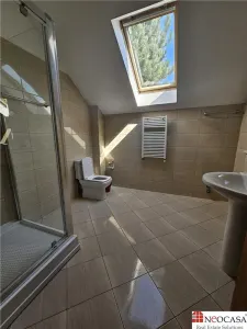 IANCU NICOLAE, S+P+1, 6 CAMERE, 410 MP, PISCINA, CURTE SUPERBA! - foto 24