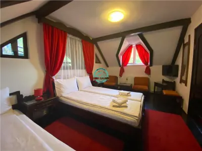 REDUCERE PRET - VAND PENSIUNE CU 7 CAMERE IN SIGHISOARA LA 800 MP DE CETATE - foto 12