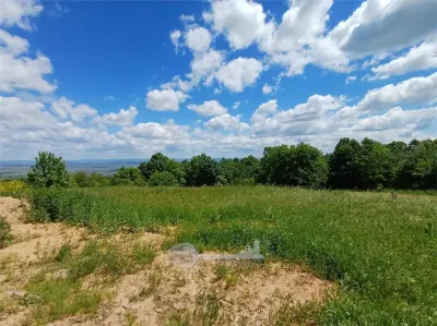 Casa de vanzare I Paun, Barnova I 4 camere, 2 bai I 500 mp teren - foto 4