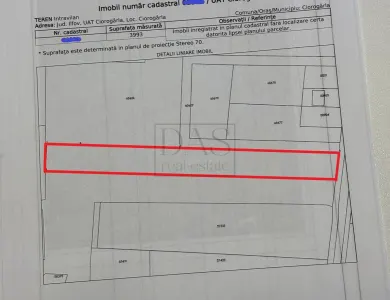 Teren intravilan | 3993 mp | Ciorogarla, Ilfov | Utilitati - Ciorogarla