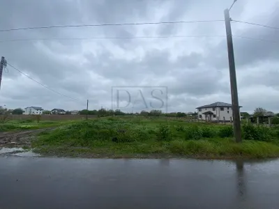 Teren intravilan | 3993 mp | Ciorogarla, Ilfov | Utilitati - foto 14