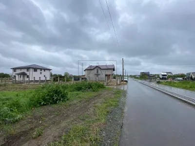 Teren intravilan | 3993 mp | Ciorogarla, Ilfov | Utilitati - foto 8