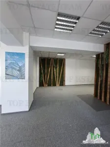 Spatiu de Birouri de 110 mp in Zona Otopeni aproape de Aeroport - foto 2