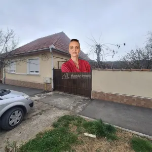 Bocsa Vasiova, Casa cocheta pentru familie, cu Gradina. - Bocsa
