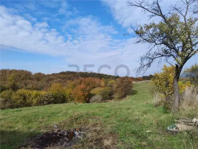 RECO Casa in Poiana tasad cu teren  5000mp - foto 12