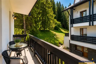 Gata de preluare: Afacere + Pensiune Poiana Brasov, - foto 10