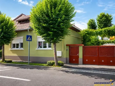3D!Ansamblu casa+productie+comercial, 3 corpuri,acces stradal,Tudor,Targu Mures, potential ridicat - Targu Mures