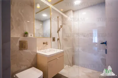 Penthouse 4 camere cu terasa de vanzare in zona Herastrau Bucuresti - foto 7