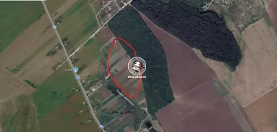 Teren Iepureni la padure - Movileni