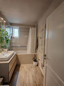 Apartament 3 camere suprafata mare Ultracentral - foto 9