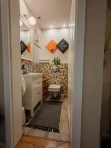 Apartament 3 camere suprafata mare Ultracentral - foto 10