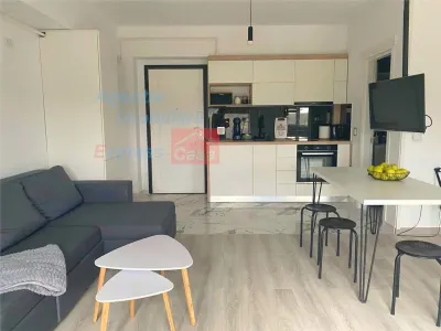 Apartament 1 camera open space, Tatarasi, bloc nou - foto 2
