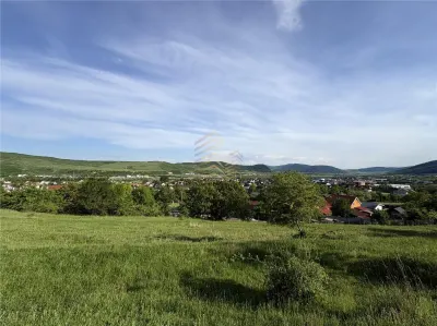 TEREN EXTRAVILAN 30 ARI | VIISOARA - foto 2