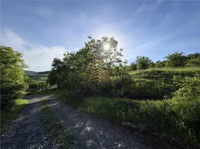 TEREN EXTRAVILAN 30 ARI | VIISOARA - foto 4