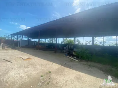 Hala industriala Navodari, Constanta - foto 6